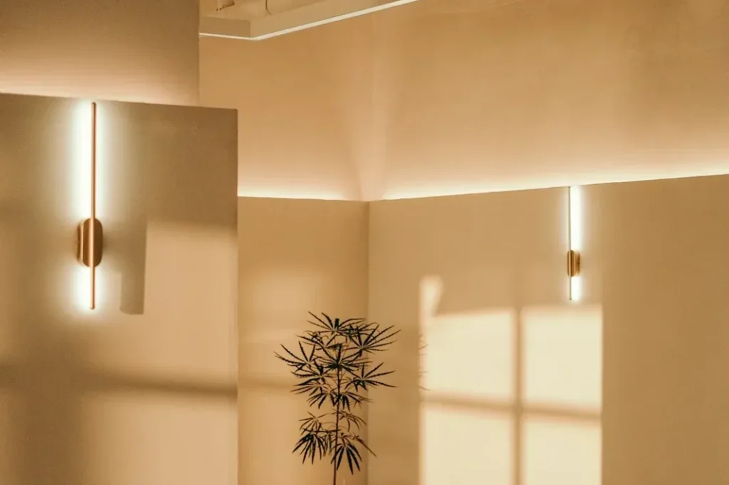 Sala de espera con sillones y luz natural cálida